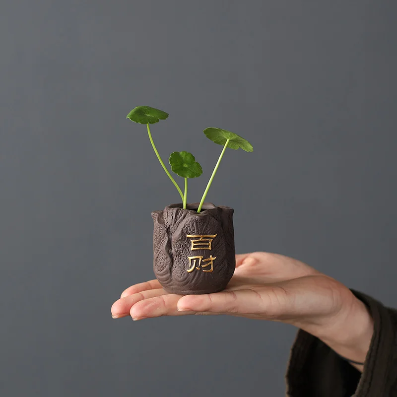 Creative Purple Clay Tea Pet F - Bonsai Garden Mini review and price