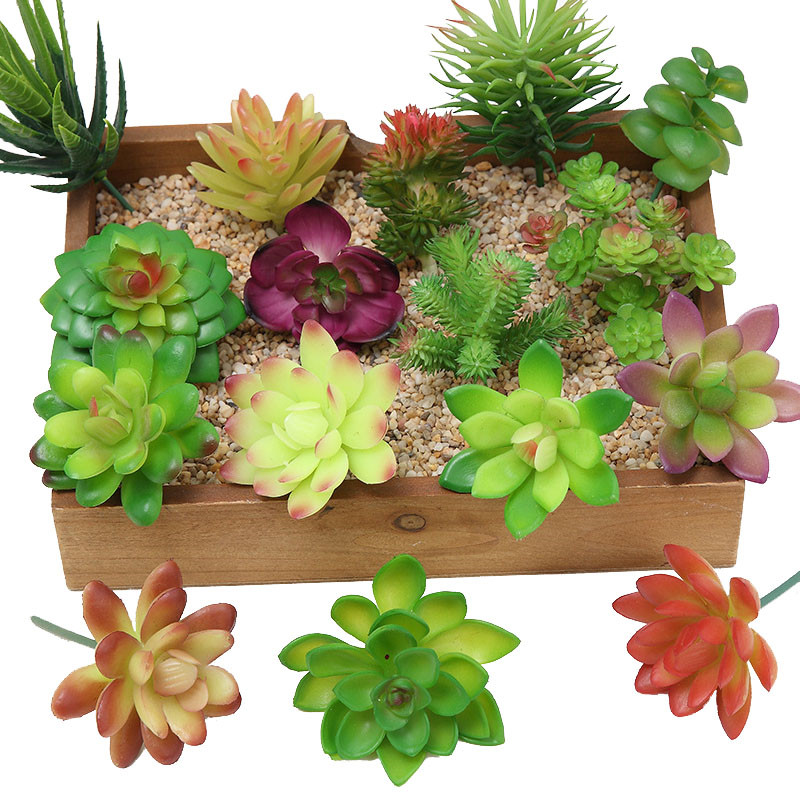 2021 Artificial Succulents Pla - Bonsai Garden Mini review and price