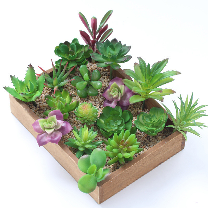2021 Artificial Succulents Pla - Bonsai Garden Mini review and price