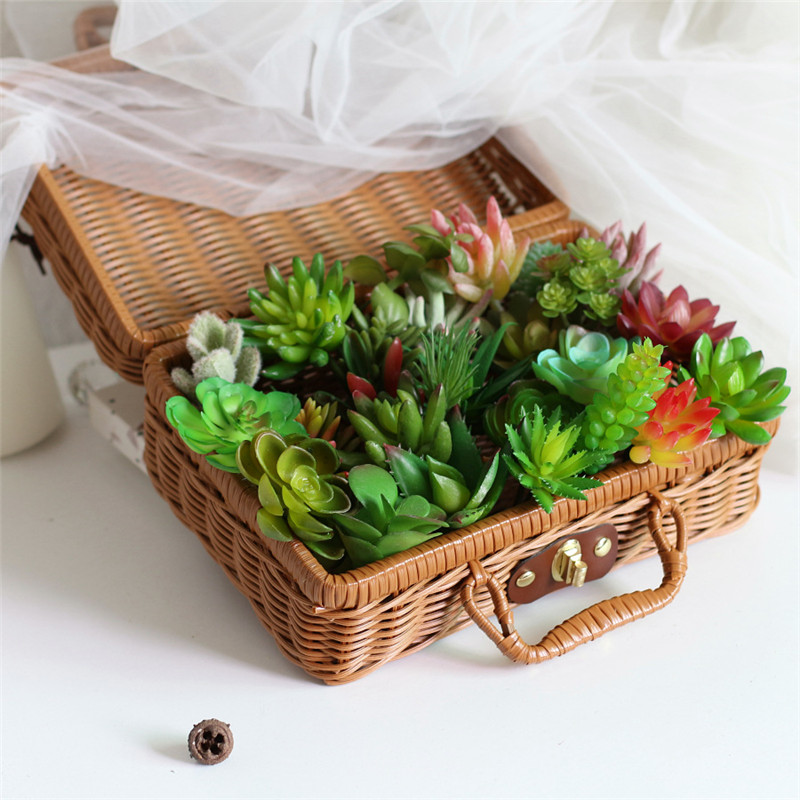 2021 Artificial Succulents Pla - Bonsai Garden Mini review and price
