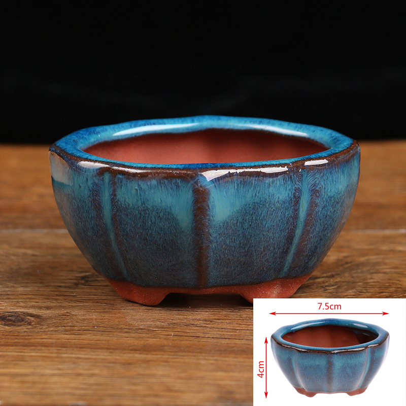 1pcs Bonsai Mini Ceramic Flowe - Bonsai Garden Chinese Garden review and price