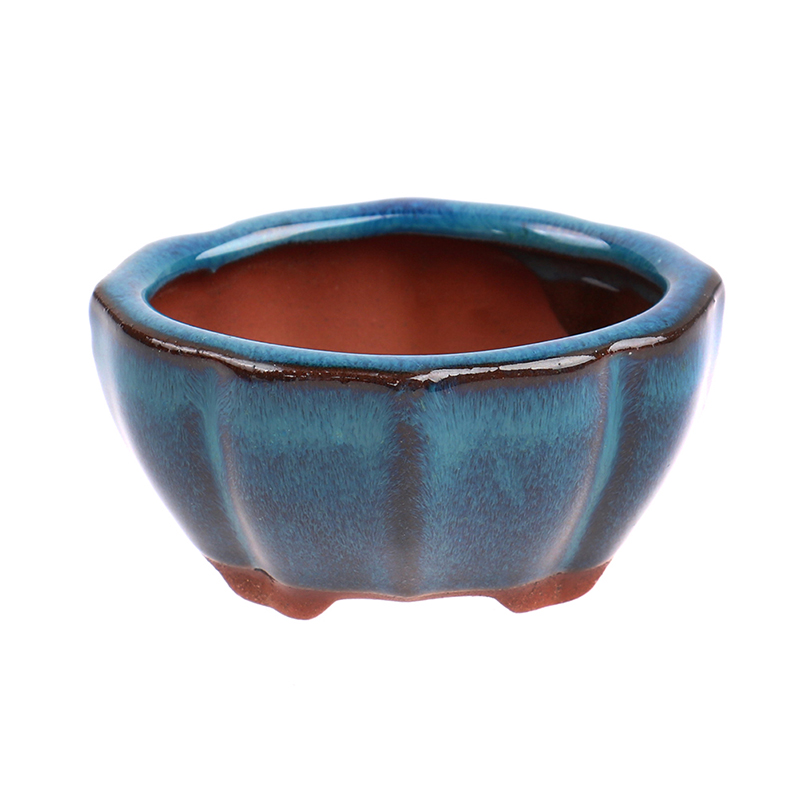 1pcs Bonsai Mini Ceramic Flowe - Bonsai Garden Chinese Garden review and price