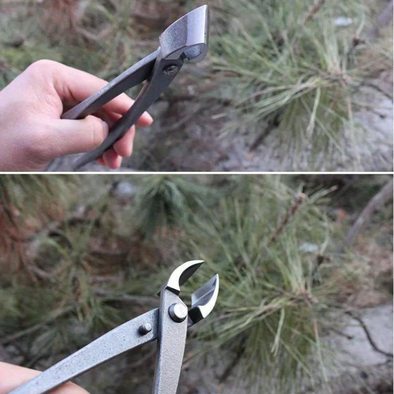 Bonsai Knob Cutter Concave Edg - Concave Branch Cutter review and price