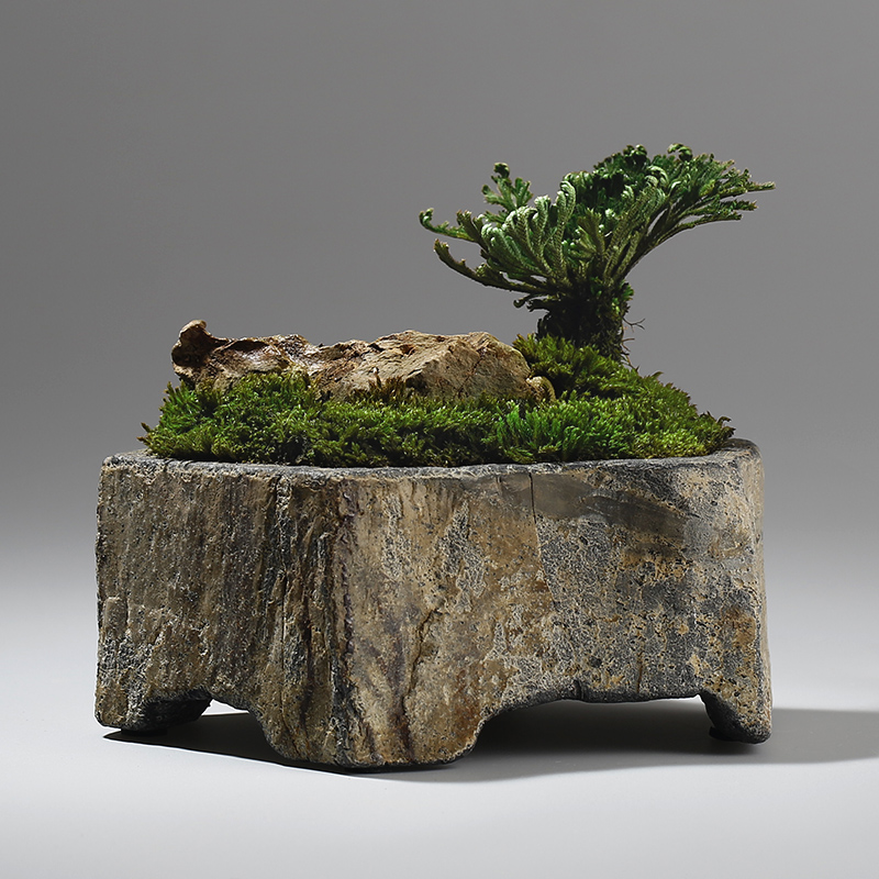 Basalt Natural Stone Flower Po - Bonsai Garden Chinese Garden review and price