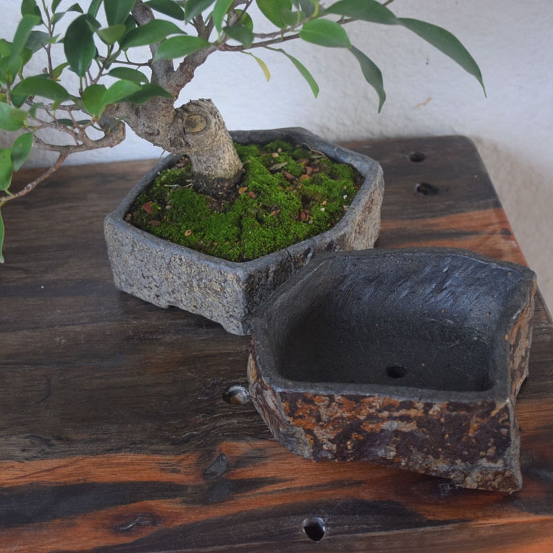 Basalt Natural Stone Flower Po - Bonsai Garden Chinese Garden review and price