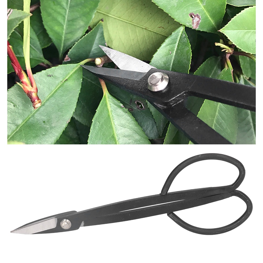 Stainless Steel Bonsai Scissor - Concave Branch Cutter review and price