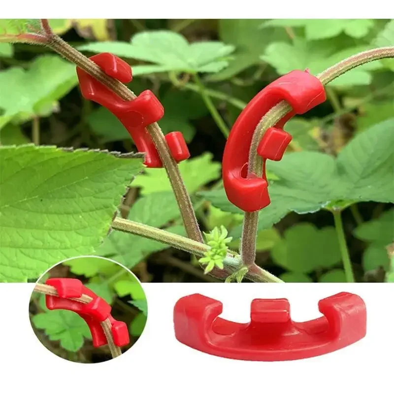 10-100Pcs 90 Degree Plant Bend - Concave Branch Cutter review and price
