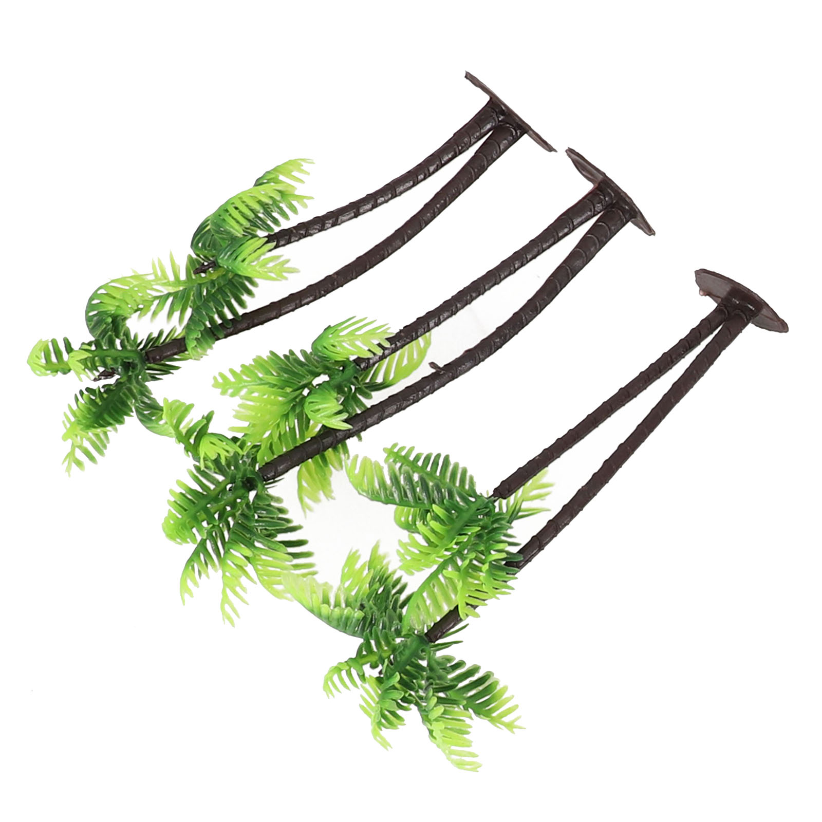 5Pcs For Mini Coconut Palm Tre - Bonsai Garden Set Up review and price