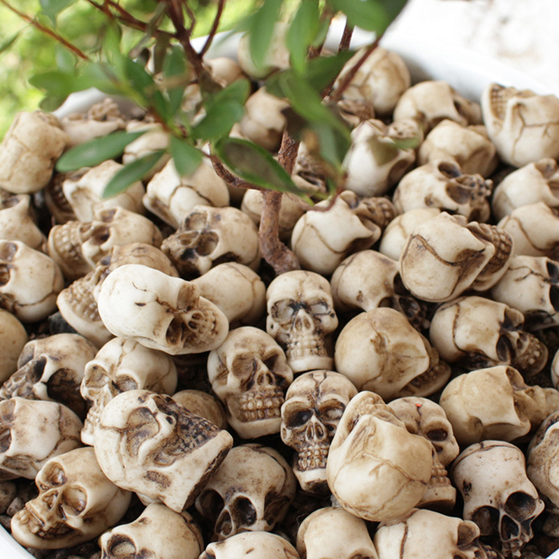 ● 20pcs Mini Skulls Halloween  - Bonsai Garden Mini review and price
