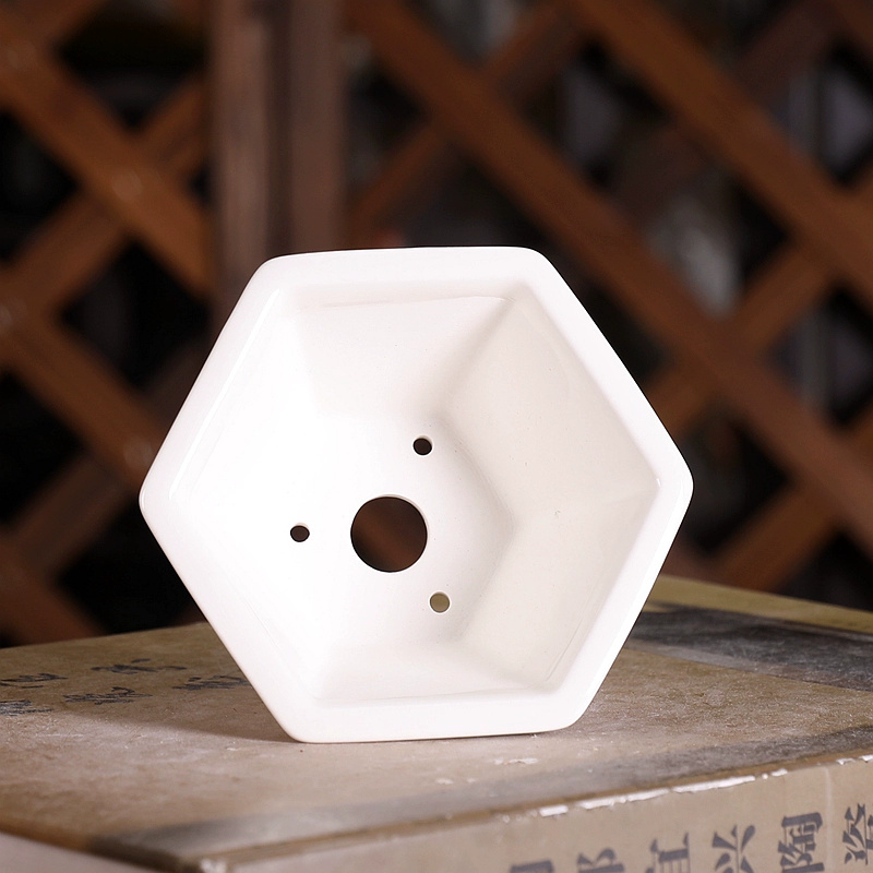 Porcelain Hexagon Bonsai Pot,S - Bonsai Garden Chinese Garden review and price
