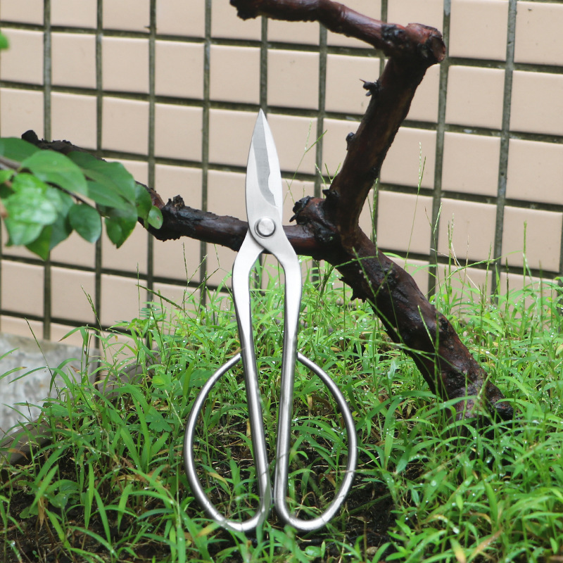 All-steel garden shears, folia - Concave Branch Cutter review and price