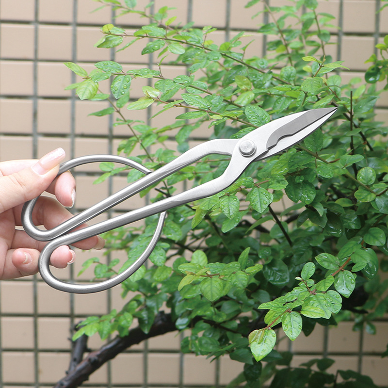 All-steel garden shears, folia - Concave Branch Cutter review and price