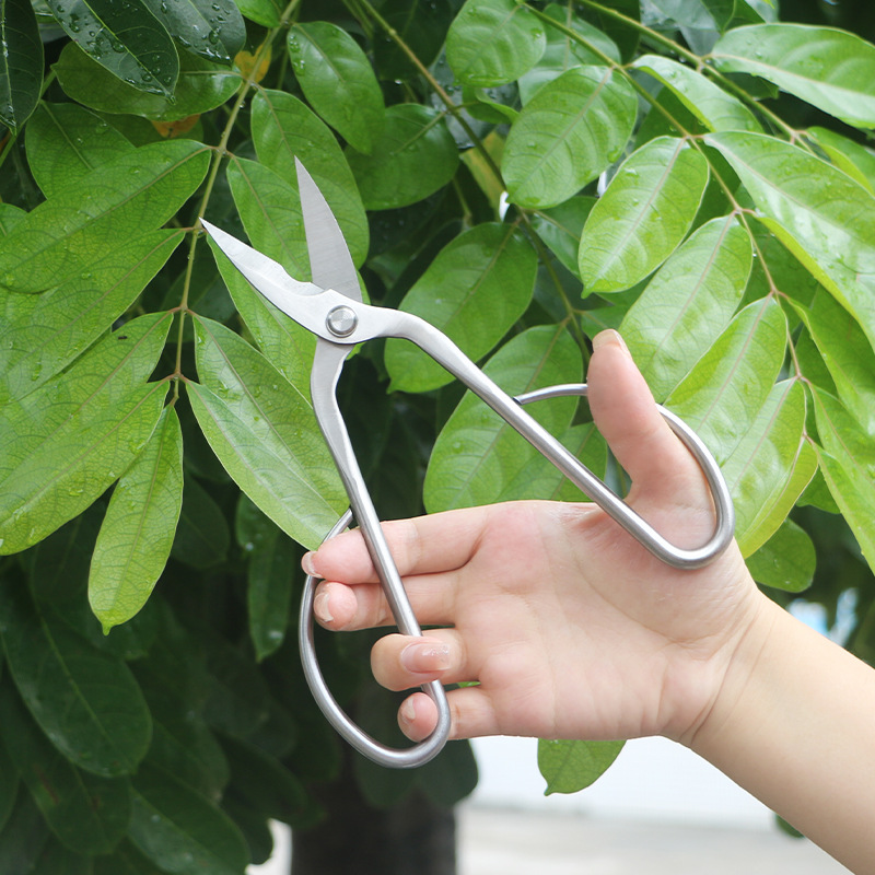 All-steel garden shears, folia - Concave Branch Cutter review and price