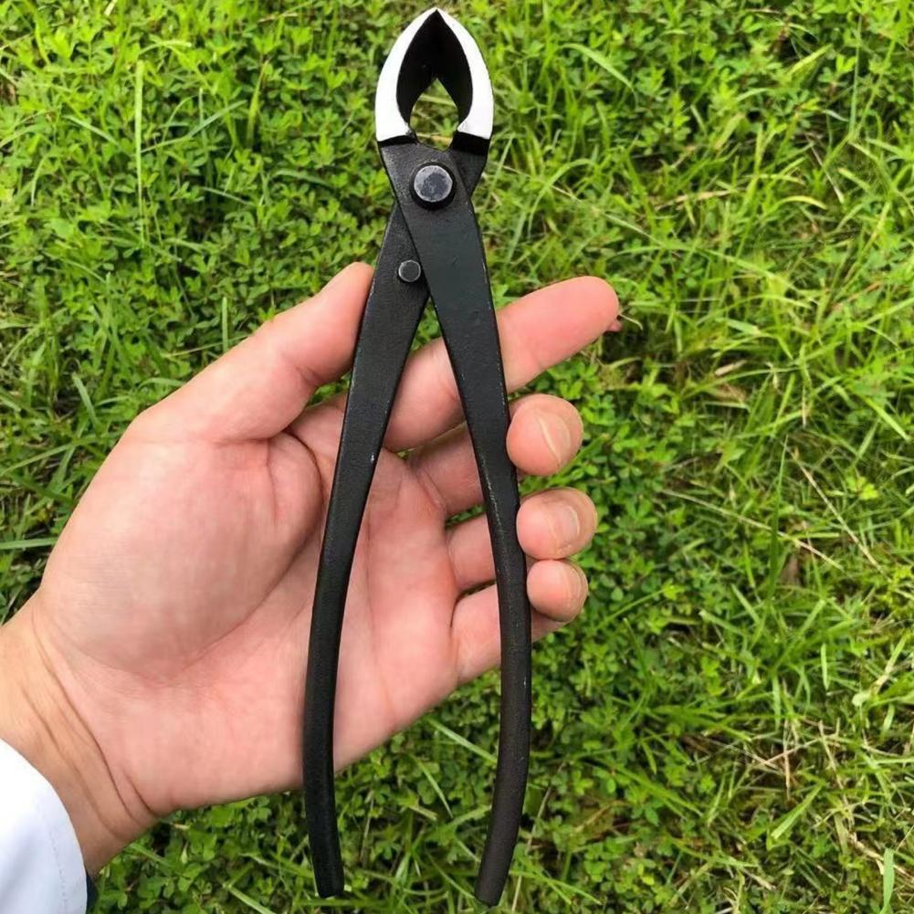 Bonsai Concave Branch Cutter M - Concave Branch Cutter review and price