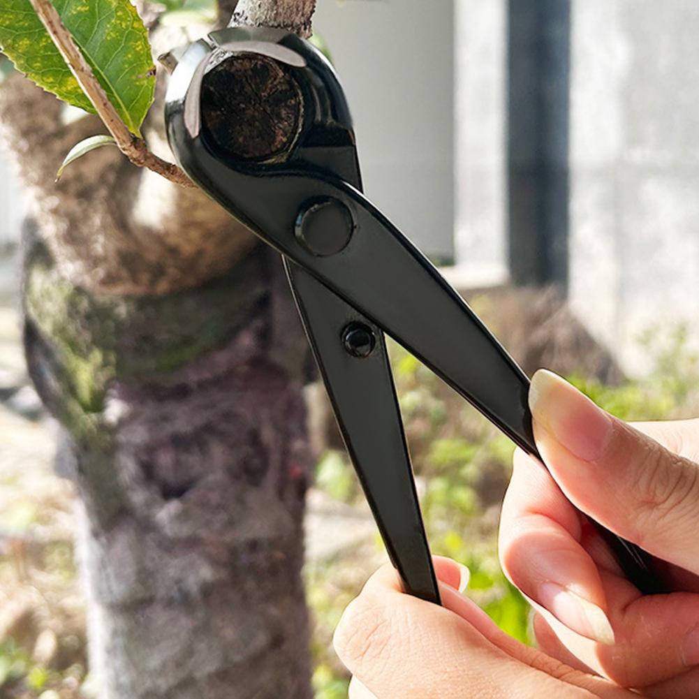 Bonsai Concave Branch Cutter M - Concave Branch Cutter review and price