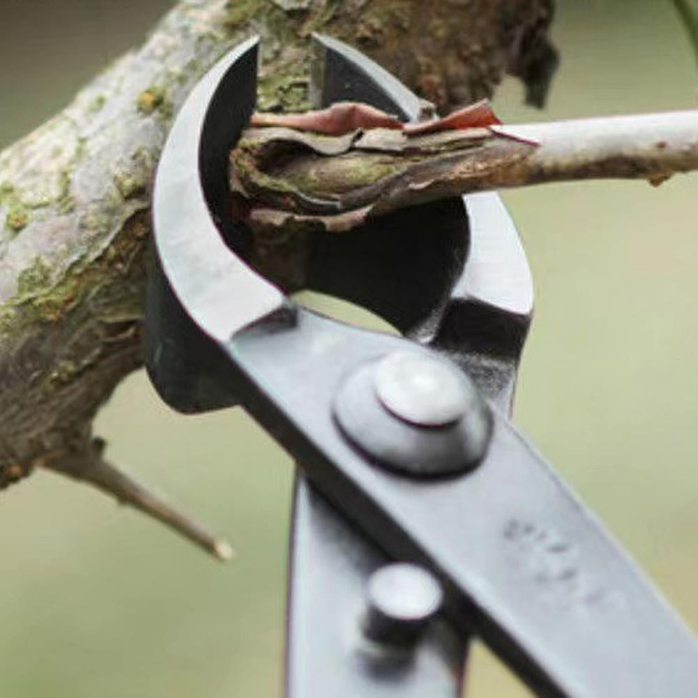 Bonsai Concave Branch Cutter M - Concave Branch Cutter review and price
