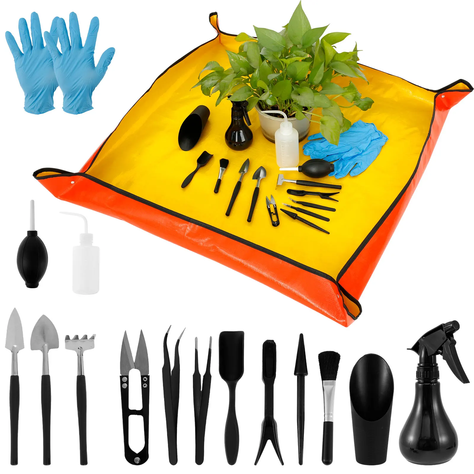 13/16Pcs Garden Succulent Plan - Bonsai Garden Mini review and price