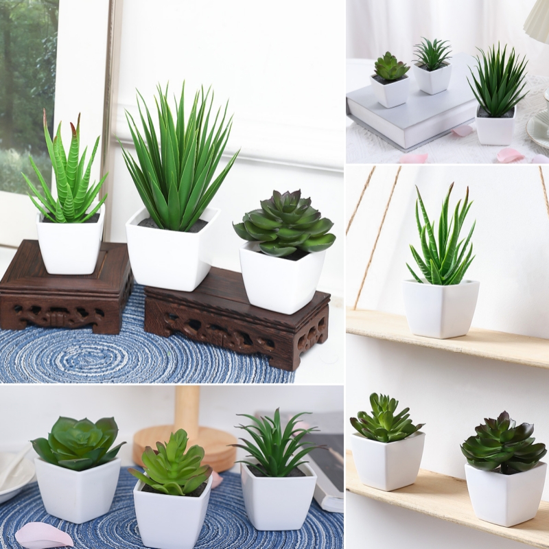 (A set of 3PCS) Simulated Mini - Bonsai Garden Mini review and price