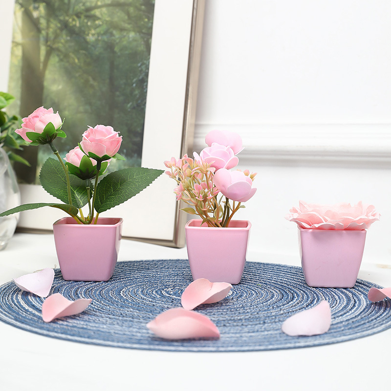 (A set of 3PCS) Simulated Mini - Bonsai Garden Mini review and price