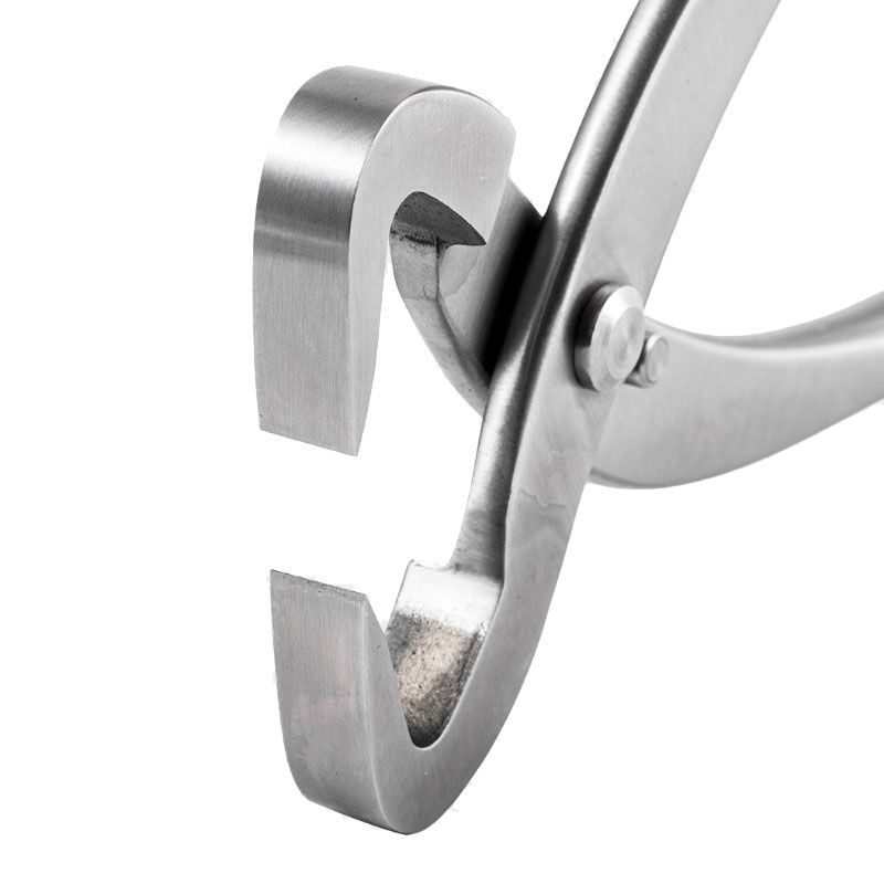 2pcs 210mm Stainless Steel Bon - Concave Branch Cutter review and price