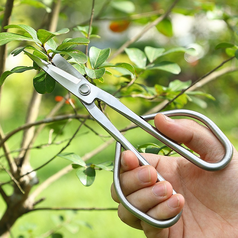 Tender Leaf Scissors Bonsai To - Concave Branch Cutter review and price
