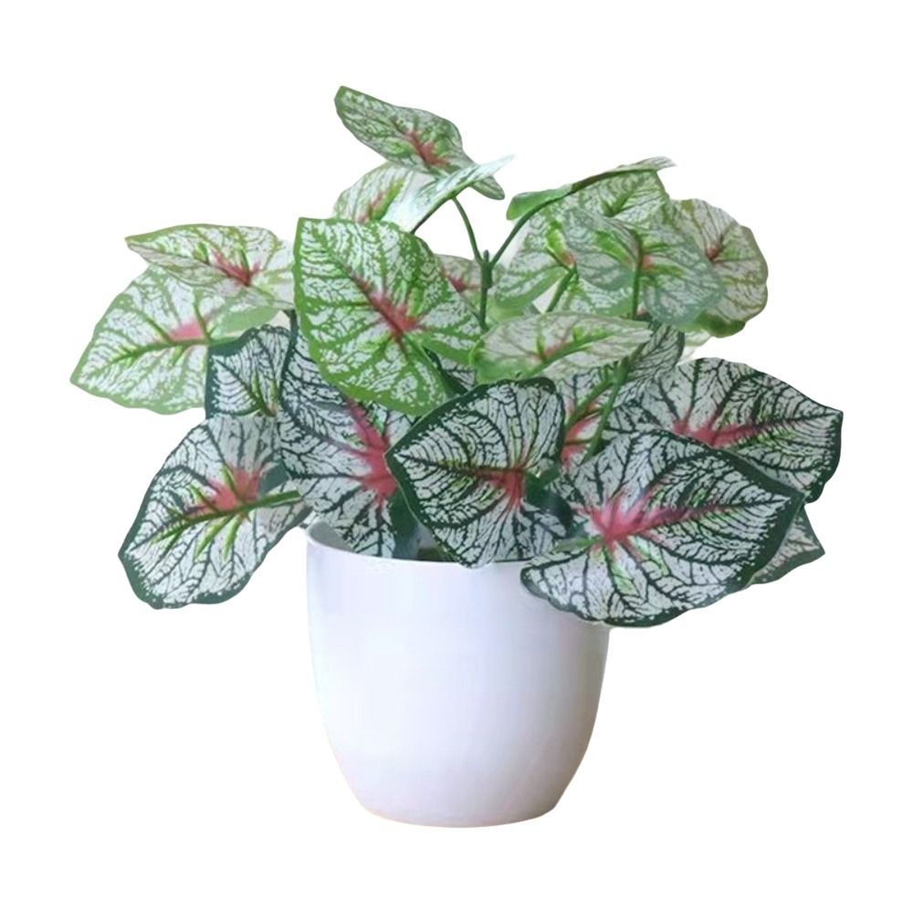 Mini Fake Potted Flowers Bonsa - Bonsai Garden Mini review and price