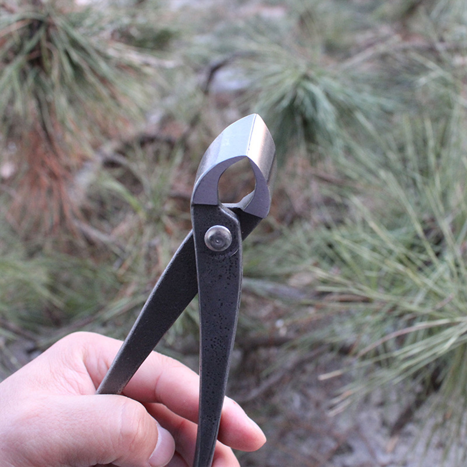 Garden Bonsai Knob Cutter Conc - Concave Branch Cutter review and price
