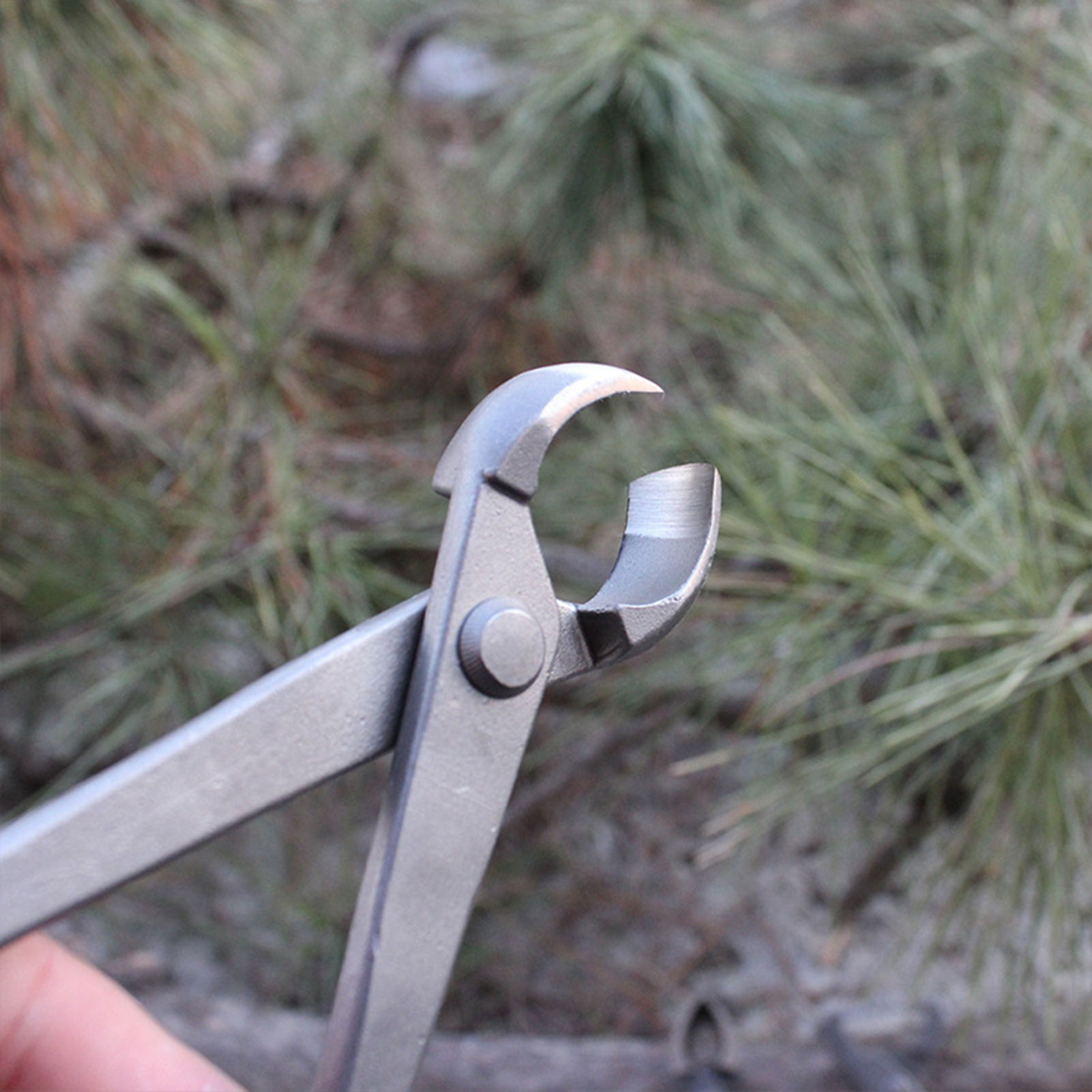 Garden Bonsai Knob Cutter Conc - Concave Branch Cutter review and price
