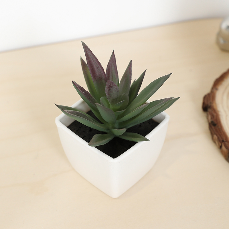 Mini Artificial Succulent Fair - Bonsai Garden Mini review and price
