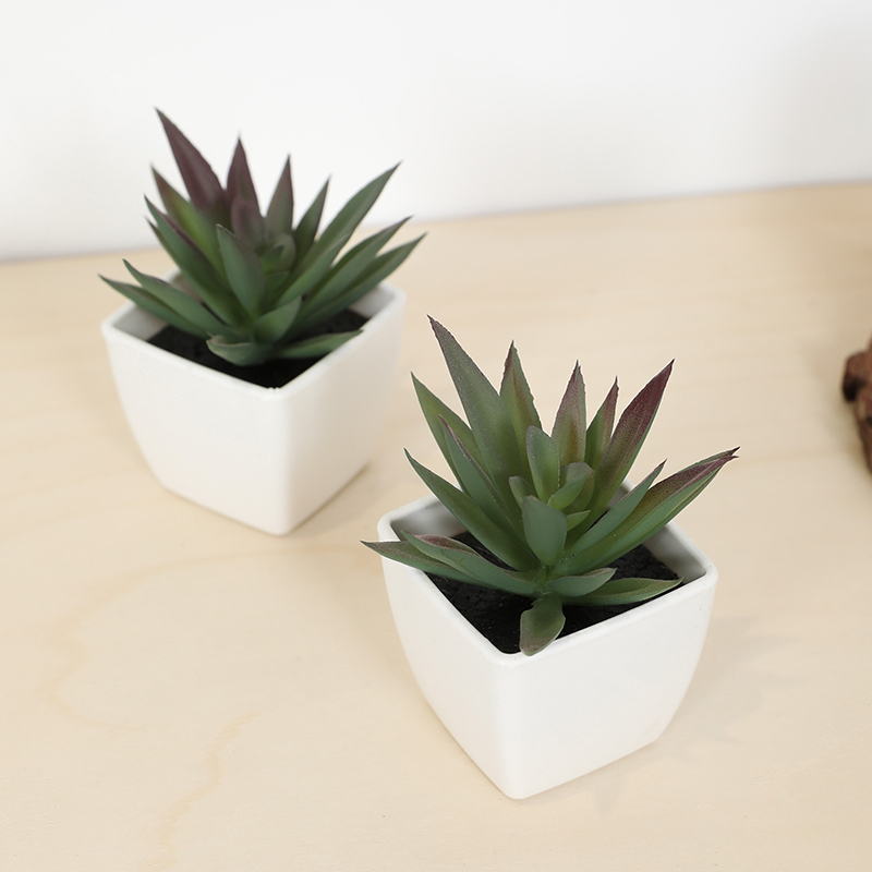 Mini Artificial Succulent Fair - Bonsai Garden Mini review and price