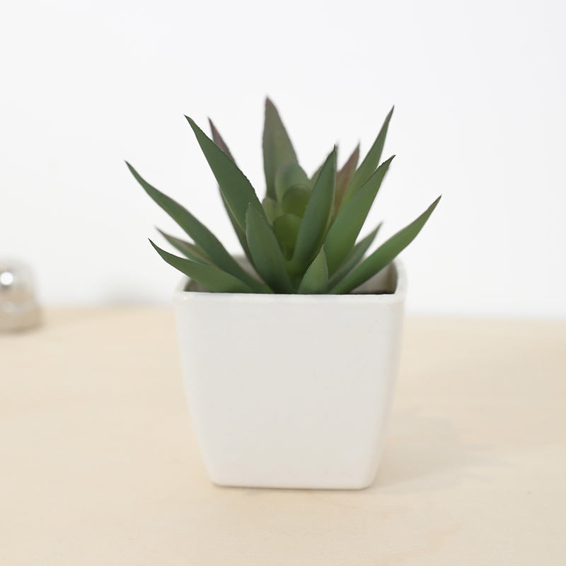 Mini Artificial Succulent Fair - Bonsai Garden Mini review and price
