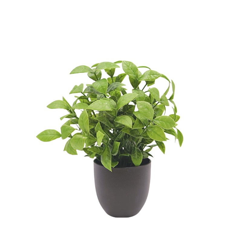 Simulation Green Plant Bonsai  - Bonsai Garden Mini review and price