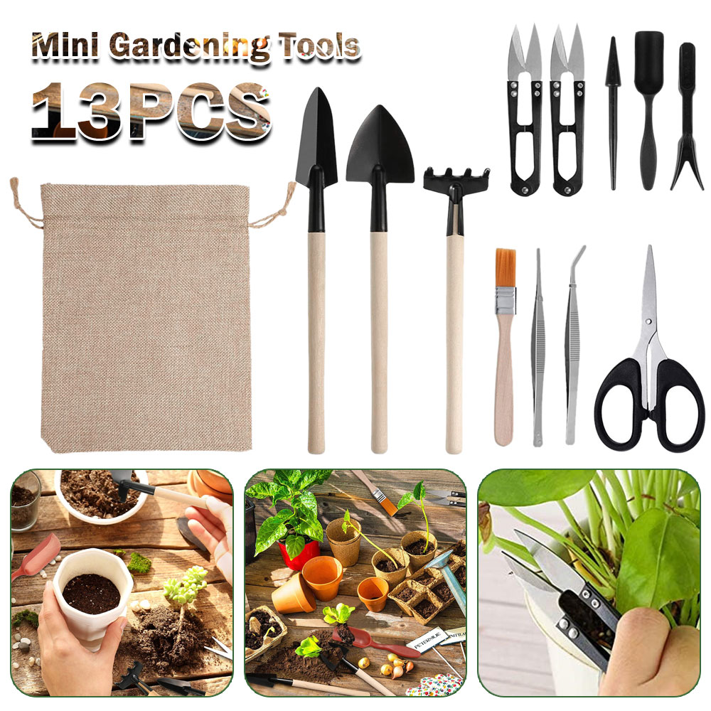 Succulent Plants Tools Mini Ga - Bonsai Garden Mini review and price
