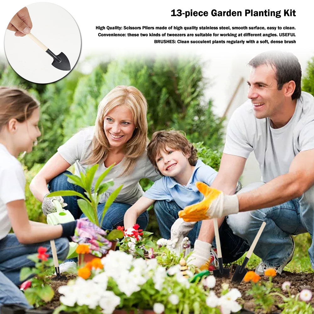 Succulent Plants Tools Mini Ga - Bonsai Garden Mini review and price