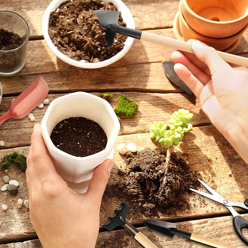 Succulent Plants Tools Mini Ga - Bonsai Garden Mini review and price