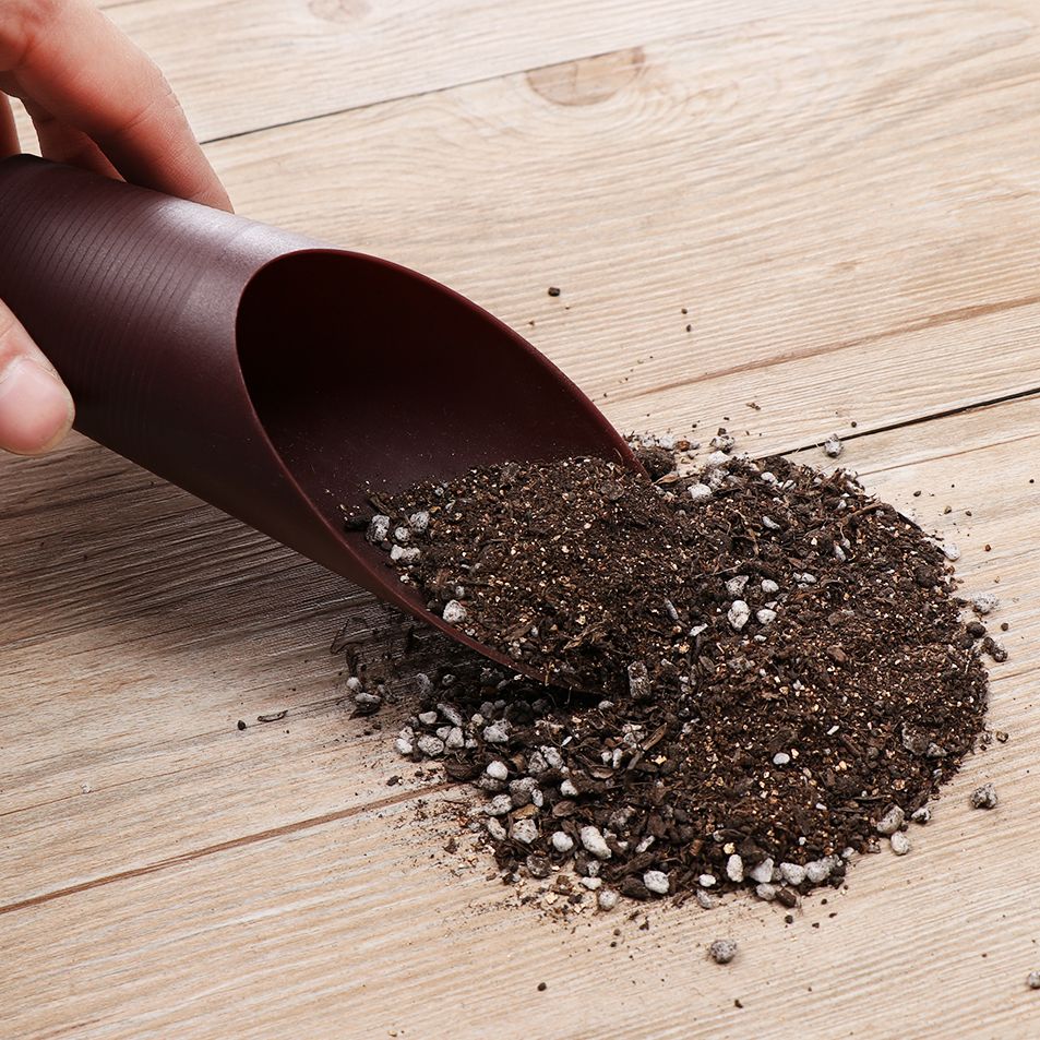 1PC Plastic Soil Shovel Cup Fo - Bonsai Garden Mini review and price
